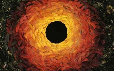 Andy Goldsworthy